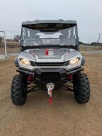 Thumbnail Photo 5 for New 2025 Honda Pioneer 1000
