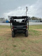 Thumbnail Photo 3 for New 2025 Honda Pioneer 1000 5 Trail Special Edition