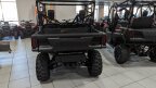 Thumbnail Photo 3 for New 2025 Honda Pioneer 1000 Forest