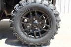 Thumbnail Photo 1 for New 2025 Honda Pioneer 1000 6 Deluxe Crew