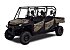 New 2025 Honda Pioneer 1000