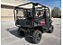 New 2025 Honda Pioneer 1000 5