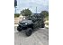New 2025 Honda Pioneer 1000 6 Deluxe Crew
