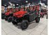 New 2025 Honda Pioneer 1000 5