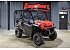 New 2025 Honda Pioneer 1000 5