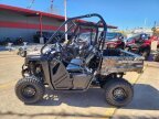 Thumbnail Photo 3 for New 2025 Honda Pioneer 520