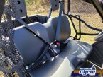 Thumbnail Photo 3 for New 2025 Honda Pioneer 520