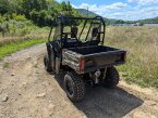 Thumbnail Photo 3 for New 2025 Honda Pioneer 520