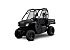 New 2025 Honda Pioneer 520