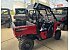New 2025 Honda Pioneer 520