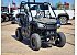 New 2025 Honda Pioneer 520