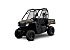 New 2025 Honda Pioneer 520