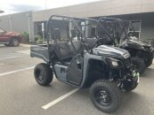 New 2025 Honda Pioneer 520