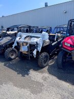 Thumbnail Photo 1 for New 2025 Honda Pioneer 700