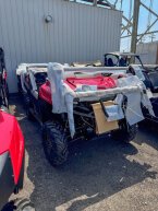 Thumbnail Photo 1 for New 2025 Honda Pioneer 700