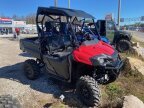 Thumbnail Photo 2 for New 2025 Honda Pioneer 700 Deluxe
