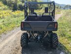 Thumbnail Photo 5 for New 2025 Honda Pioneer 700 Deluxe