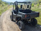 Thumbnail Photo 4 for New 2025 Honda Pioneer 700 Deluxe