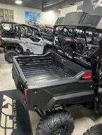 Thumbnail Photo 3 for New 2025 Honda Pioneer 700