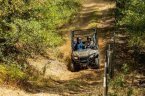 Thumbnail Photo 2 for New 2025 Honda Pioneer 700 4