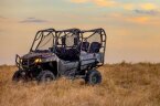 Thumbnail Photo 4 for New 2025 Honda Pioneer 700 4