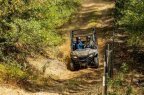 Thumbnail Photo 2 for New 2025 Honda Pioneer 700 4