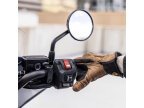 Thumbnail Photo 4 for New 2025 Honda Rebel 1100