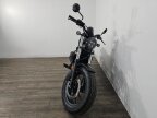 Thumbnail Photo 1 for New 2025 Honda Rebel 300