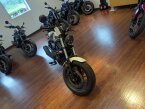 Thumbnail Photo 4 for New 2025 Honda Rebel 500 ABS