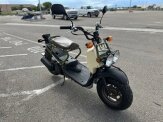 New 2025 Honda Ruckus