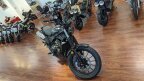 Thumbnail Photo 6 for New 2025 Honda SCL500