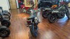 Thumbnail Photo 3 for New 2025 Honda SCL500