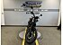 New 2025 Honda SCL500