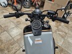 Thumbnail Photo 1 for New 2025 Honda Shadow Phantom ABS