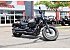New 2025 Honda Shadow