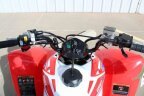 Thumbnail Photo 5 for New 2025 Honda TRX250X