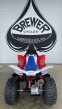 Thumbnail Photo 5 for New 2025 Honda TRX250X
