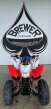 Thumbnail Photo 3 for New 2025 Honda TRX250X