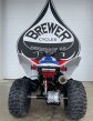 Thumbnail Photo 4 for New 2025 Honda TRX250X