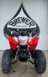 Thumbnail Photo 2 for New 2025 Honda TRX250X