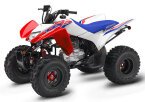 Thumbnail Photo 1 for New 2025 Honda TRX250X
