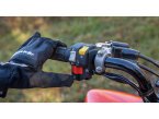 Thumbnail Photo 6 for New 2025 Honda TRX250X