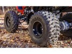 Thumbnail Photo 4 for New 2025 Honda TRX250X