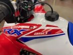 Thumbnail Photo 1 for New 2025 Honda TRX250X