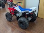 Thumbnail Photo 5 for New 2025 Honda TRX250X