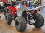 Thumbnail Photo 4 for New 2025 Honda TRX250X