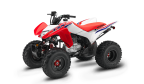 Thumbnail Photo 1 for New 2025 Honda TRX250X