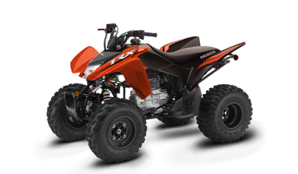 Photo 1 for New 2025 Honda TRX250X