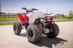 Thumbnail Photo 2 for New 2025 Honda TRX250X