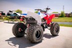 Thumbnail Photo 4 for New 2025 Honda TRX250X